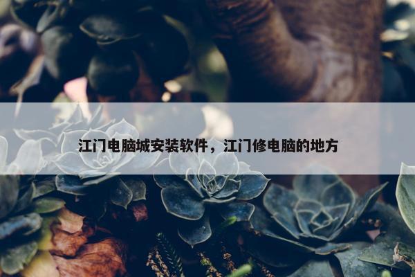 江门电脑城安装软件，江门修电脑的地方