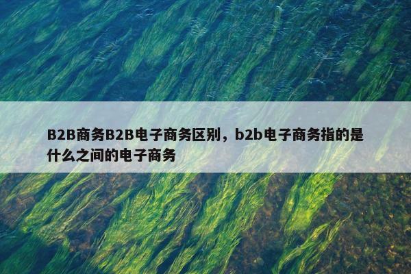 B2B商务B2B电子商务区别，b2b电子商务指的是什么之间的电子商务