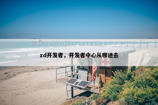 zd开发者，开发者中心从哪进去