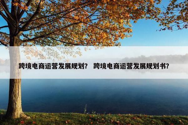 跨境电商运营发展规划？ 跨境电商运营发展规划书？