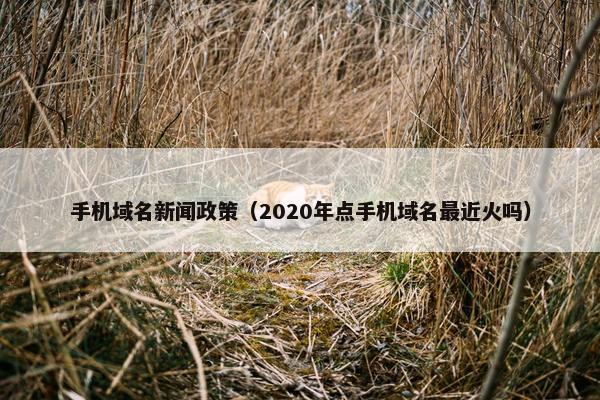 手机域名新闻政策（2020年点手机域名最近火吗）