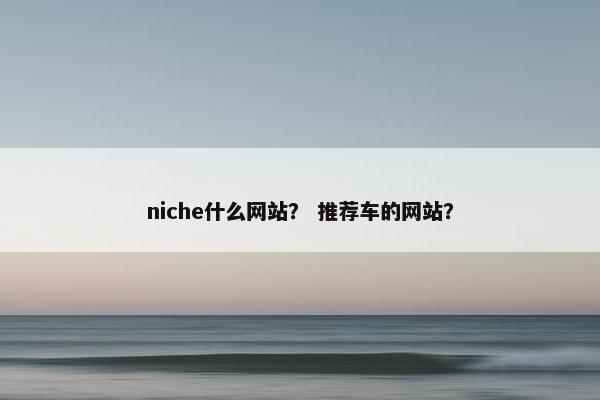 niche什么网站？ 推荐车的网站？