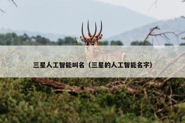 三星人工智能叫名（三星的人工智能名字）