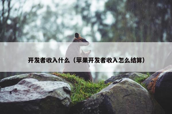 开发者收入什么（苹果开发者收入怎么结算）