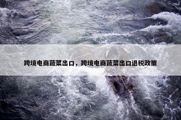 跨境电商蔬菜出口，跨境电商蔬菜出口退税政策