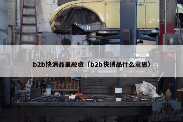 b2b快消品里融资（b2b快消品什么意思）