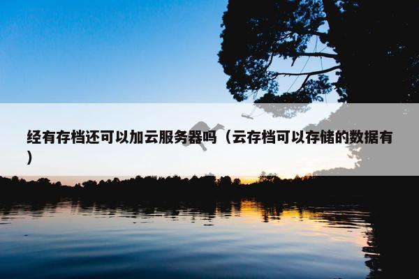 经有存档还可以加云服务器吗（云存档可以存储的数据有）