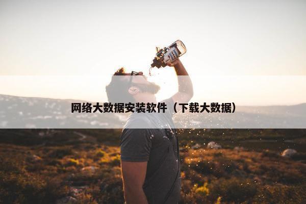 网络大数据安装软件（下载大数据）