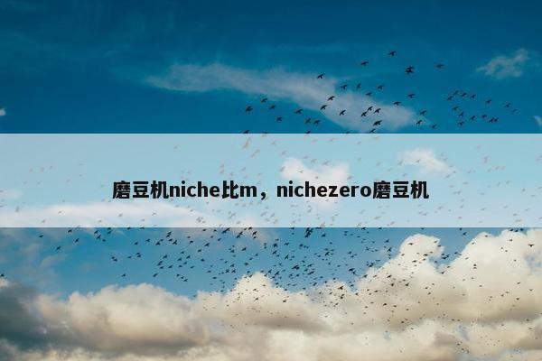 磨豆机niche比m，nichezero磨豆机