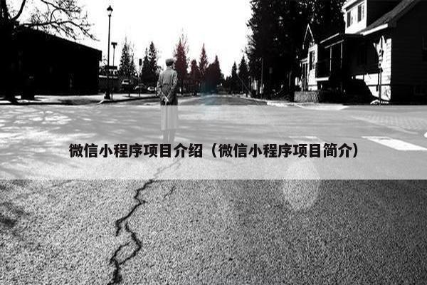 微信小程序项目介绍（微信小程序项目简介）