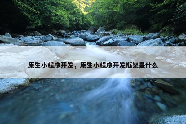 原生小程序开发，原生小程序开发框架是什么