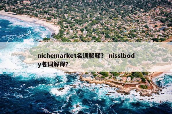 nichemarket名词解释？ nisslbody名词解释？