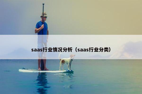 saas行业情况分析（saas行业分类）