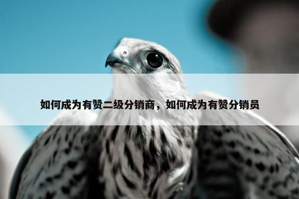 如何成为有赞二级分销商，如何成为有赞分销员