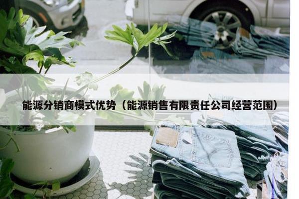 能源分销商模式优势（能源销售有限责任公司经营范围）