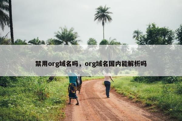 禁用org域名吗，org域名国内能解析吗