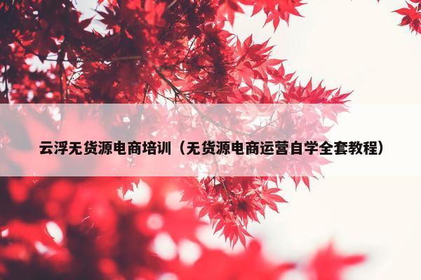 云浮无货源电商培训（无货源电商运营自学全套教程）