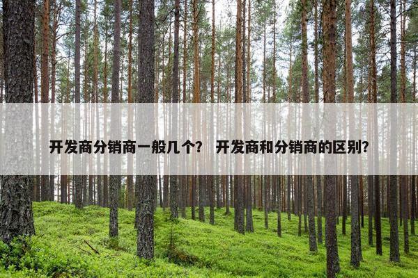 开发商分销商一般几个？ 开发商和分销商的区别？