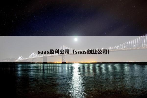 saas盈利公司（saas创业公司）