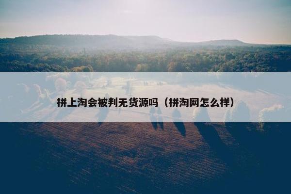 拼上淘会被判无货源吗（拼淘网怎么样）