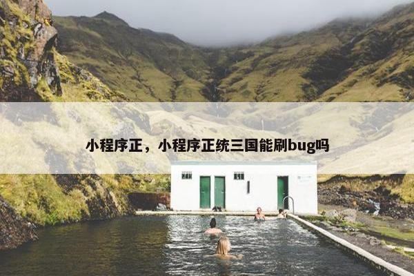 小程序正，小程序正统三国能刷bug吗