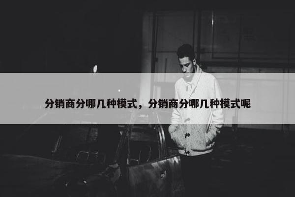 分销商分哪几种模式，分销商分哪几种模式呢
