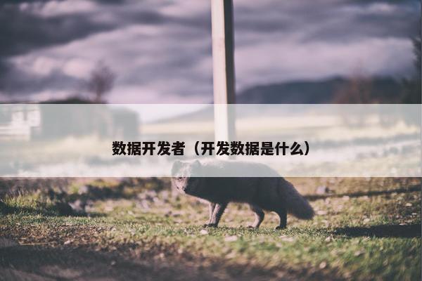 数据开发者（开发数据是什么）