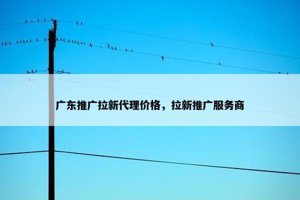 广东推广拉新代理价格，拉新推广服务商