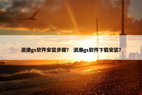 浪潮gs软件安装步骤？ 浪潮gs软件下载安装？