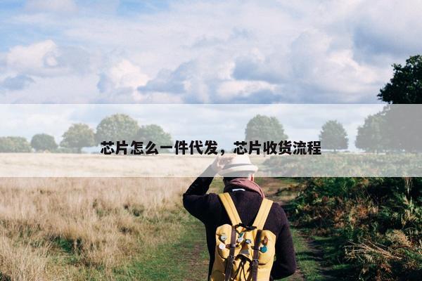 芯片怎么一件代发，芯片收货流程