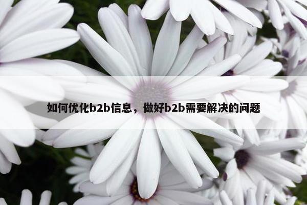 如何优化b2b信息，做好b2b需要解决的问题