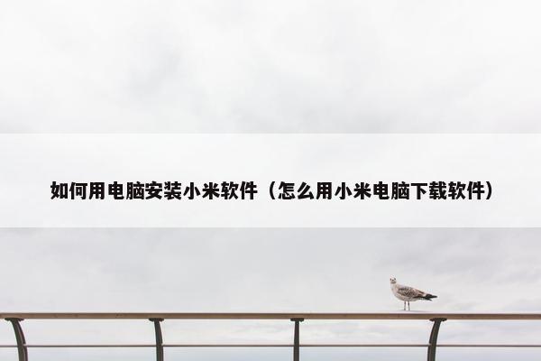 如何用电脑安装小米软件（怎么用小米电脑下载软件）