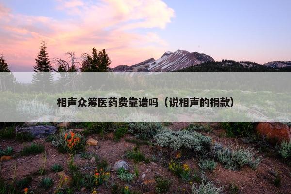 相声众筹医药费靠谱吗（说相声的捐款）