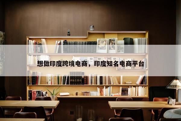 想做印度跨境电商，印度知名电商平台