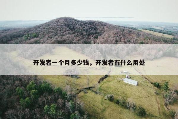 开发者一个月多少钱，开发者有什么用处