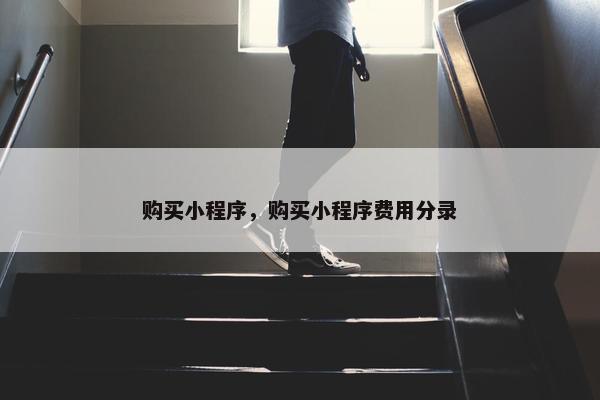 购买小程序，购买小程序费用分录