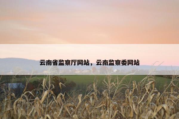 云南省监察厅网站，云南监察委网站