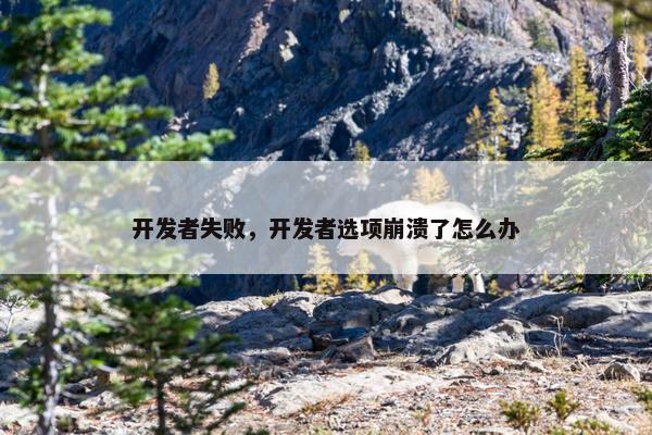 开发者失败，开发者选项崩溃了怎么办