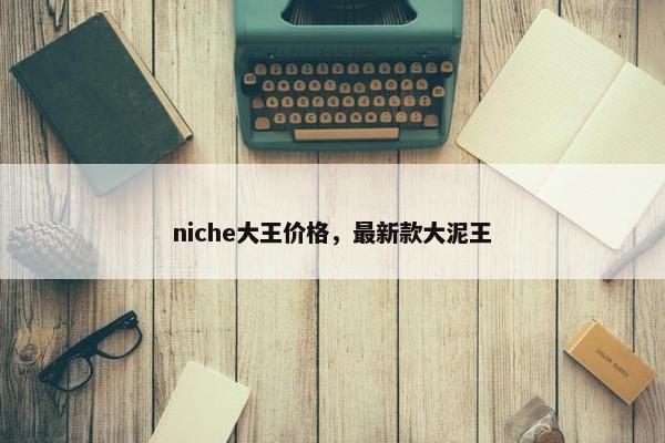 niche大王价格，最新款大泥王
