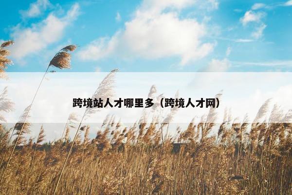 跨境站人才哪里多（跨境人才网）