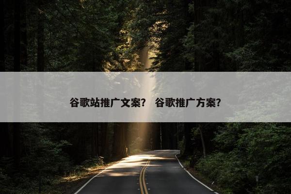 谷歌站推广文案？ 谷歌推广方案？