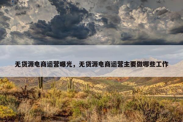 无货源电商运营曝光，无货源电商运营主要做哪些工作
