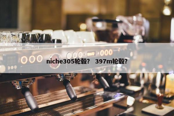 niche305轮毂？ 397m轮毂？