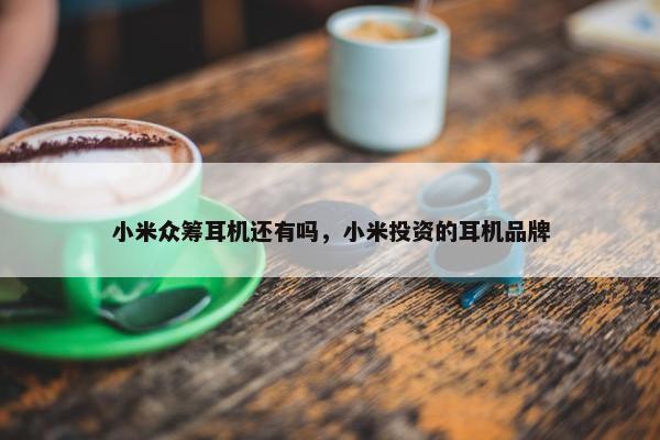 小米众筹耳机还有吗，小米投资的耳机品牌