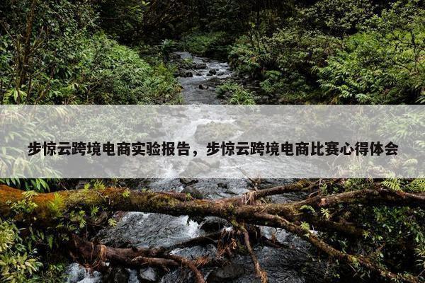 步惊云跨境电商实验报告，步惊云跨境电商比赛心得体会