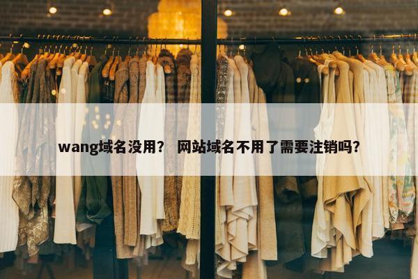 wang域名没用？ 网站域名不用了需要注销吗？
