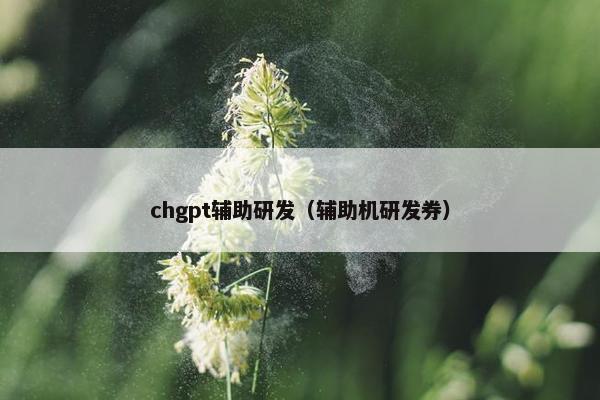 chgpt辅助研发（辅助机研发券）