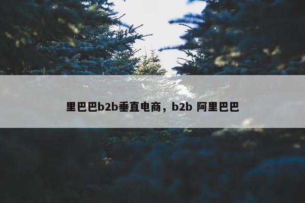里巴巴b2b垂直电商，b2b 阿里巴巴