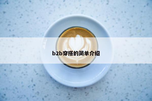 b2b穿搭的简单介绍