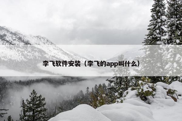 李飞软件安装（李飞的app叫什么）